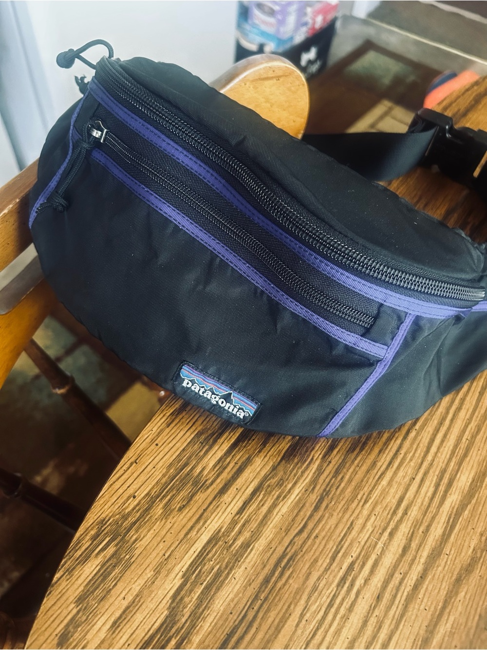 Patagonia 90s Vintage USA Made Hip Vault Fanny Pack Crossbody Bag